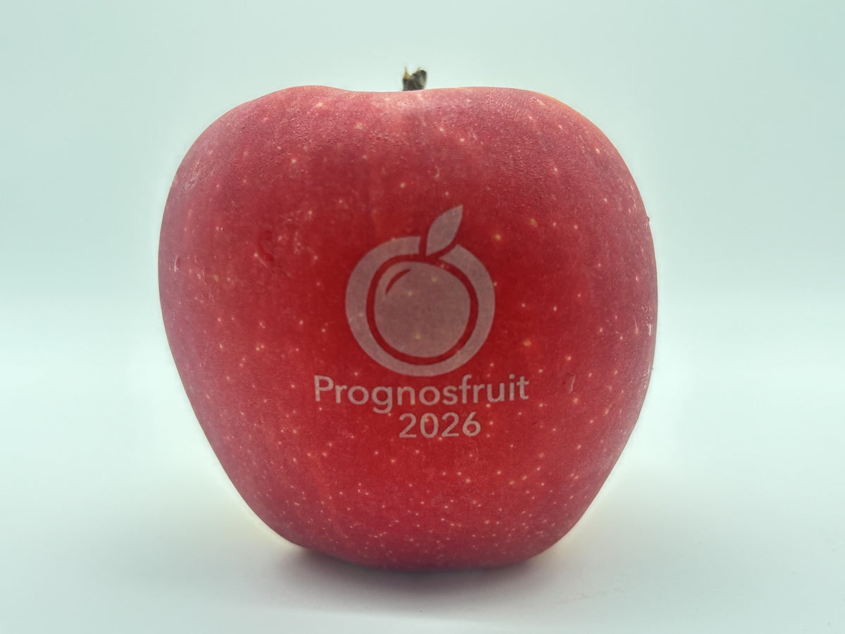 Roter Apfel mit dem gelaserten Logo Prognosfruit 2026