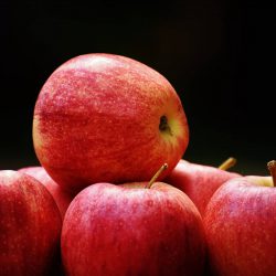 Gloster Apfel – Apfelsorte im Porträt