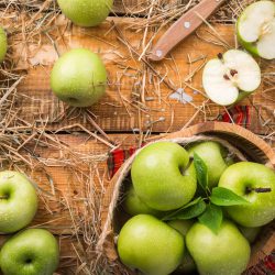 Greenstar® Apfel (Nicogreen) – Apfelsorte im Porträt