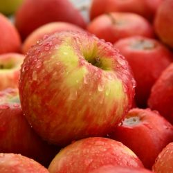 Jonagored Apfel – Apfelsorte im Porträt